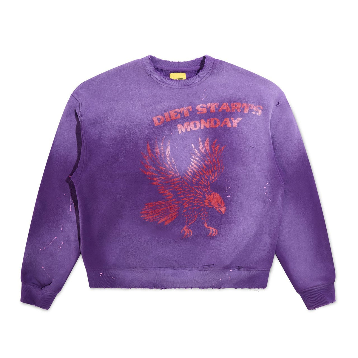 DSM Eagle Sweatshirt (Purple/Red)