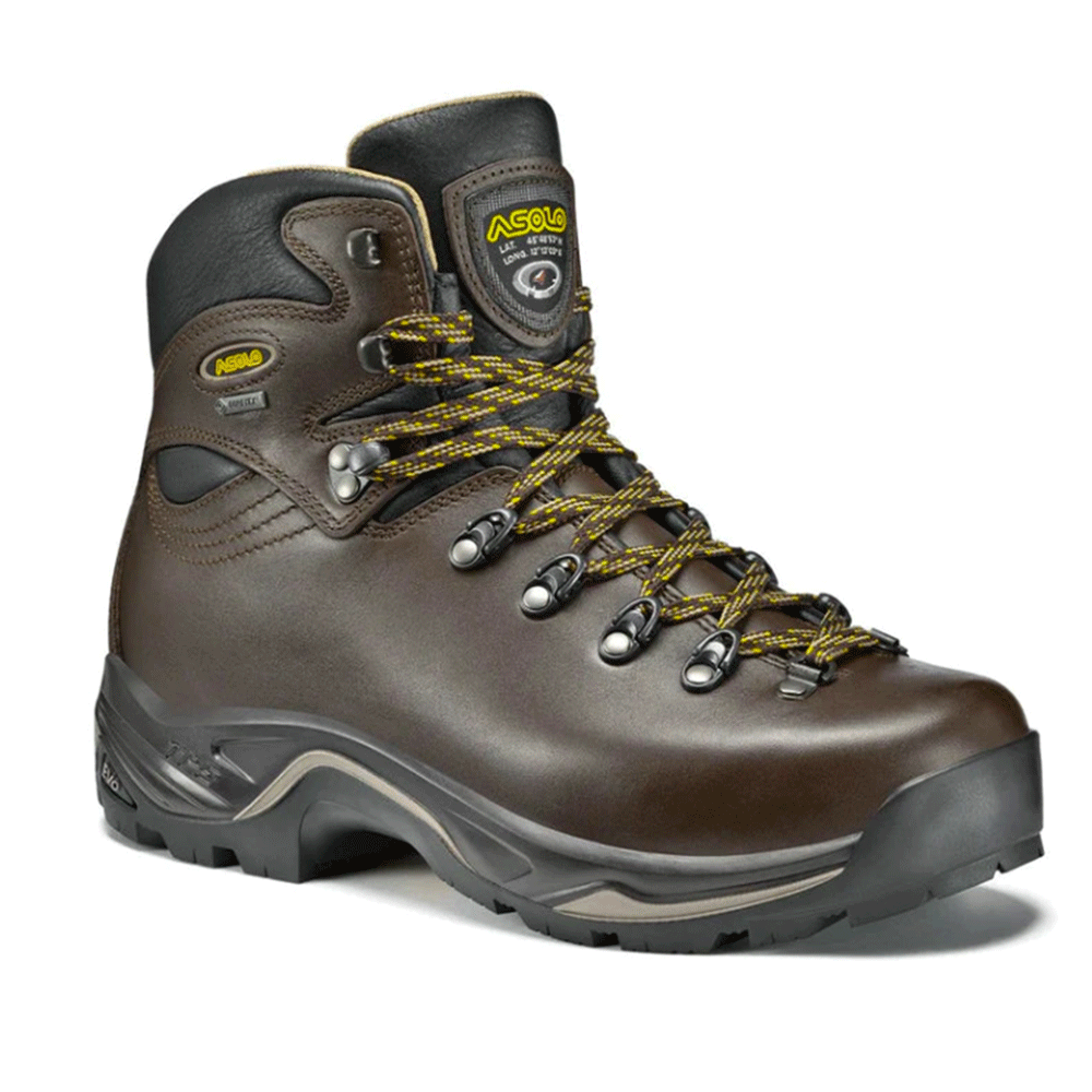 Asolo hiking boot right foot view in chestnut color, featuring a durable leather upper, Gore-Tex lining, and rugged sole, ideal for outdoor adventures.