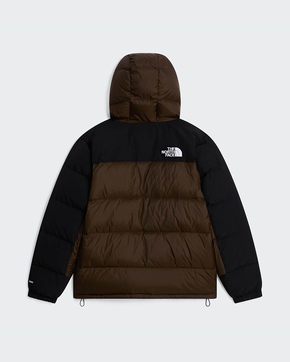 The North Face Men’s Hmlyn Down Parka