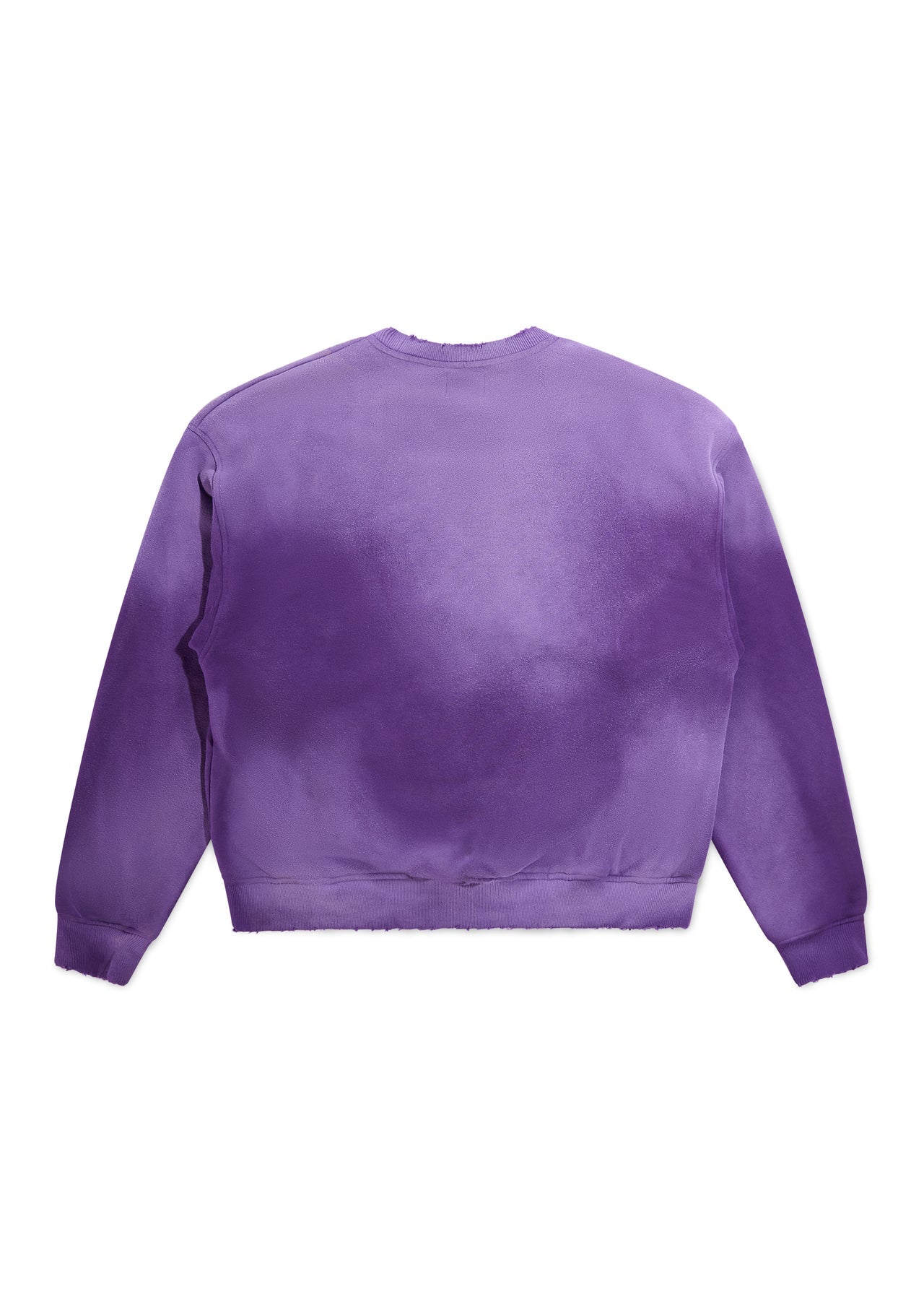 DSM Eagle Sweatshirt (Purple/Red)