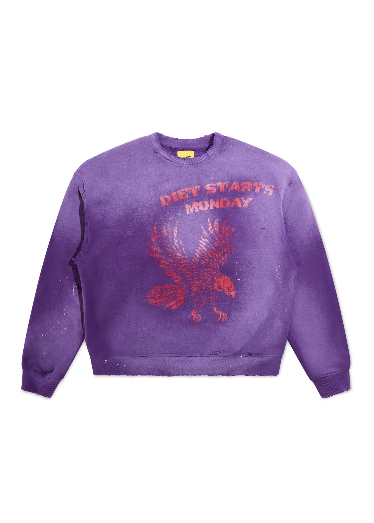 DSM Eagle Sweatshirt (Purple/Red)