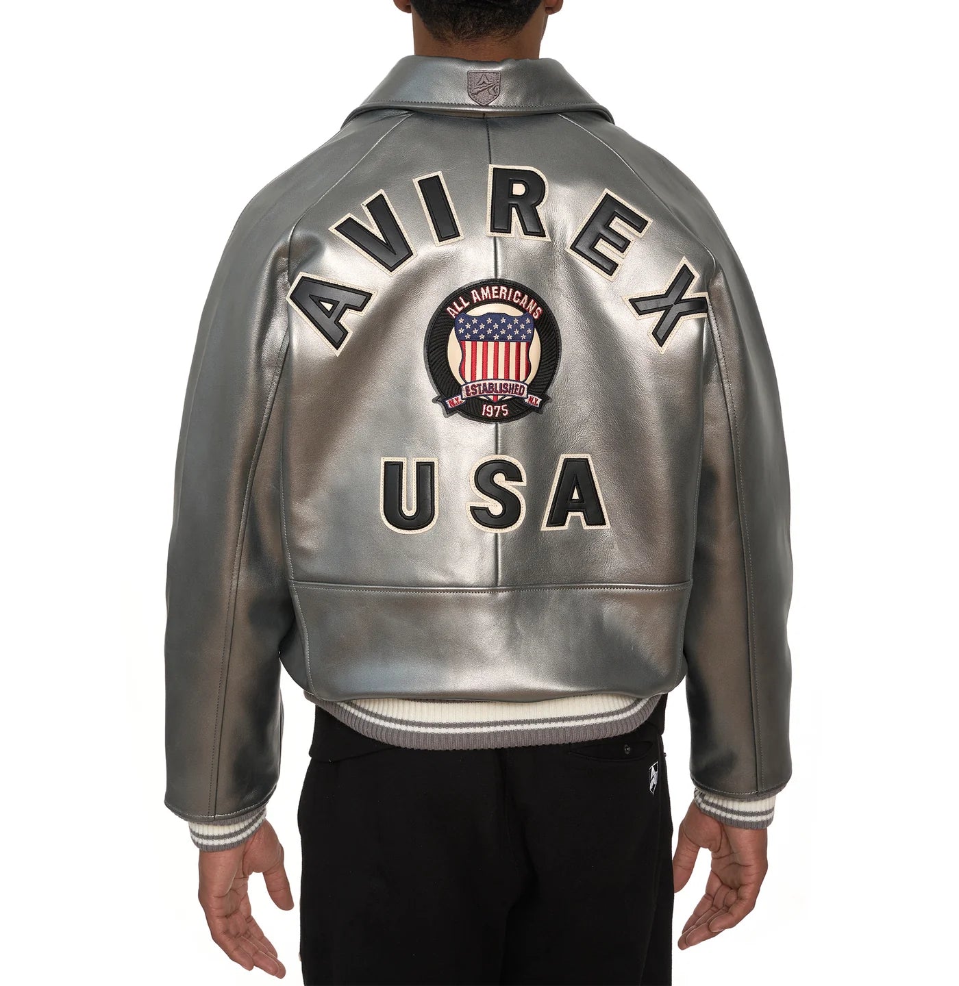 Avirex Icon Leather Jacket