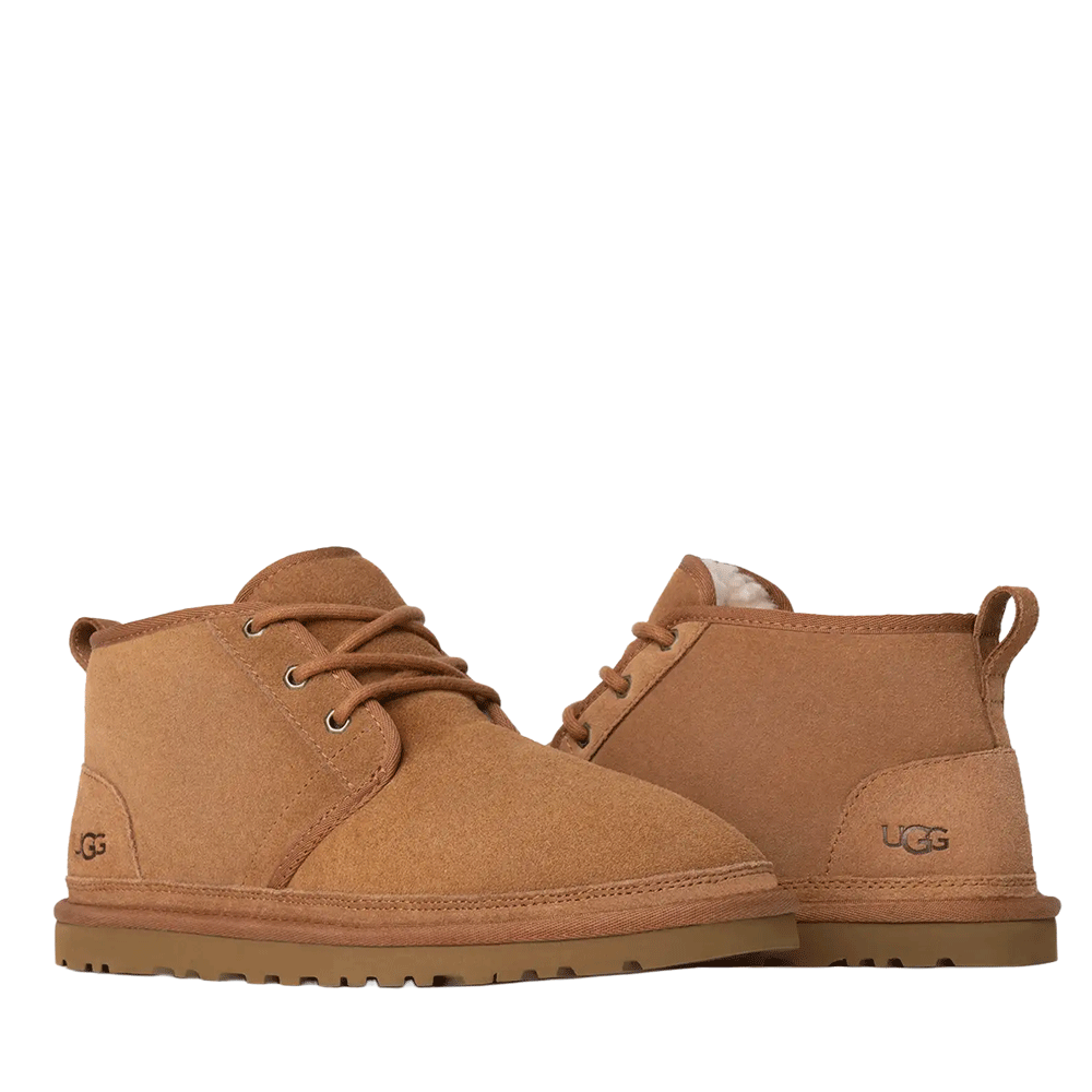 Rear-angled view of a pair of UGG Men's Neumel boots in chestnut suede. The front boot is laced, and the pair shows the subtle embossed UGG logo on the heel and the light-colored UGGplush lining visible at the collar.