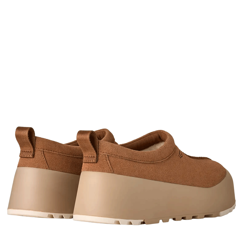 Rear view of a pair of Chestnut Tasman StreetScape UGG mules, showing the suede upper, the rear pull tabs, and the smooth, tall, contrasting light beige platform outsole.