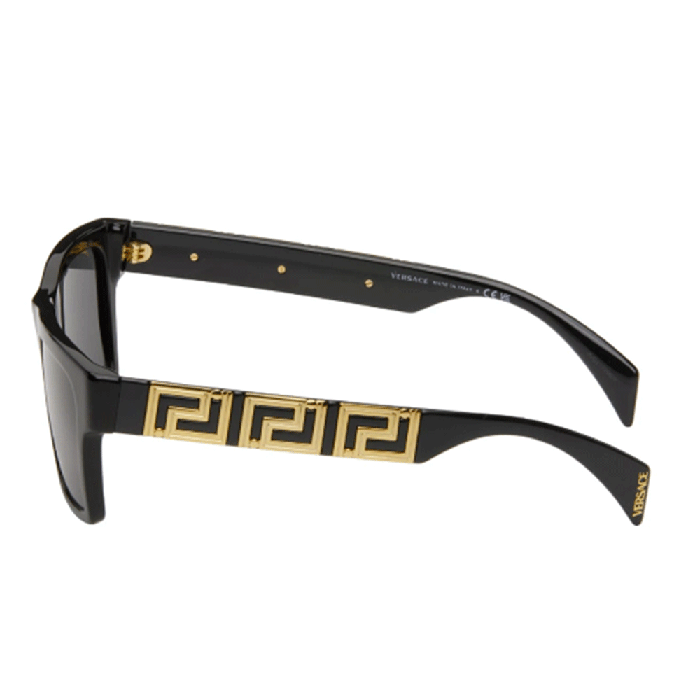 Versace Endless Greca Sunglasses