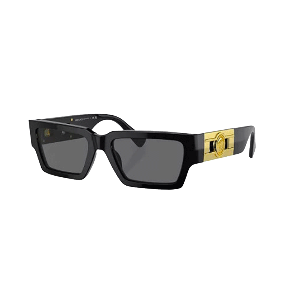 Versace VE4459 Unisex Sunglasses