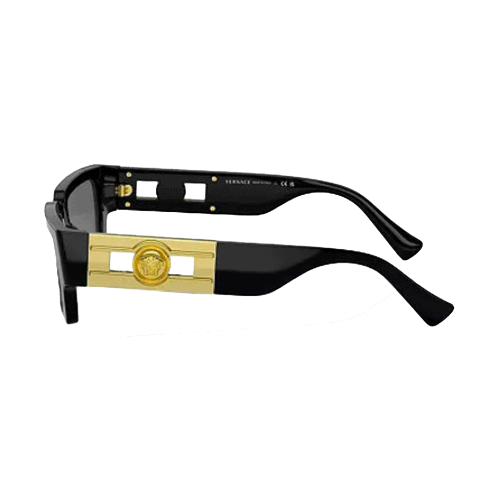 Versace VE4459 Unisex Sunglasses