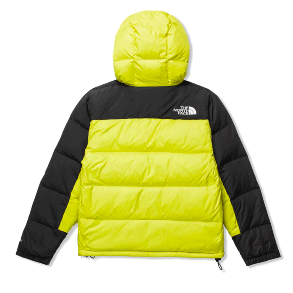 The North Face Men’s Hmlyn Down Parka