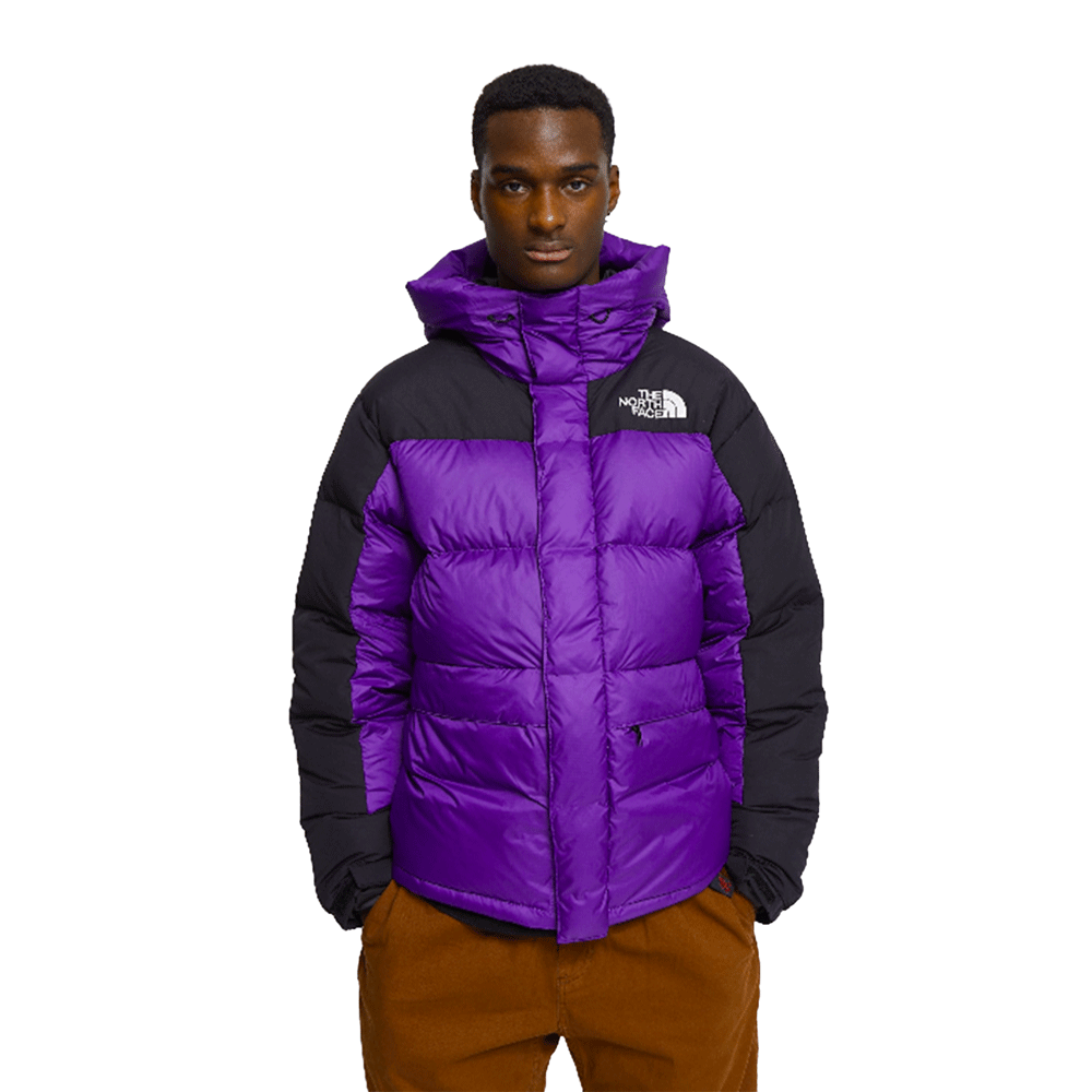 The North Face Men's Hmlyn Down Parka