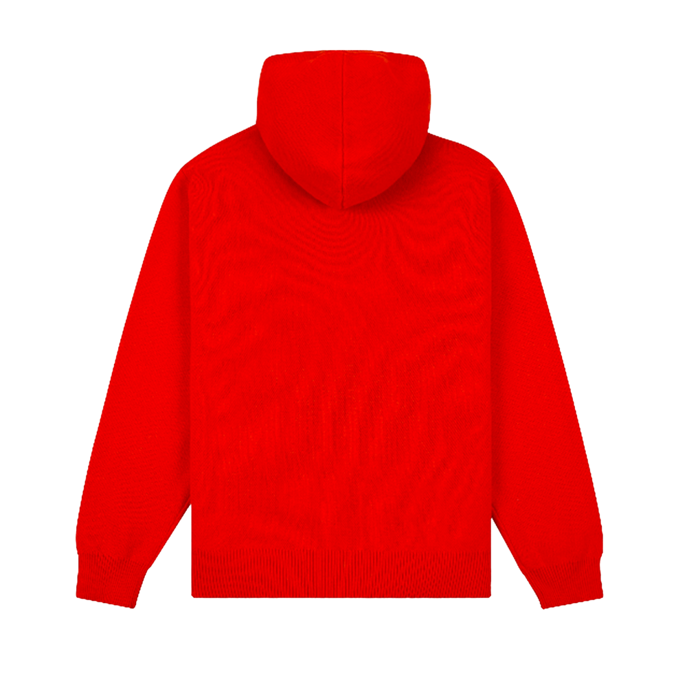 Paper Planes Birdseye Hoodie