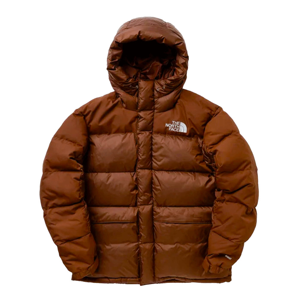 The North Face Men’s Hmlyn Down Parka