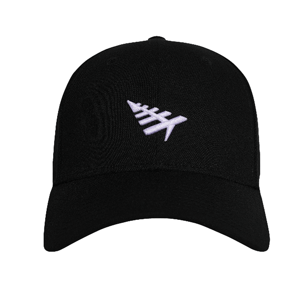 Paper Planes Icon II Dad Hat