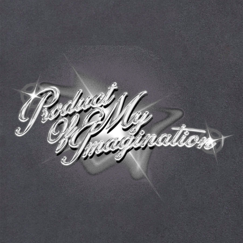 Paper Planes Product Of My Imagination Heavyweight Tee